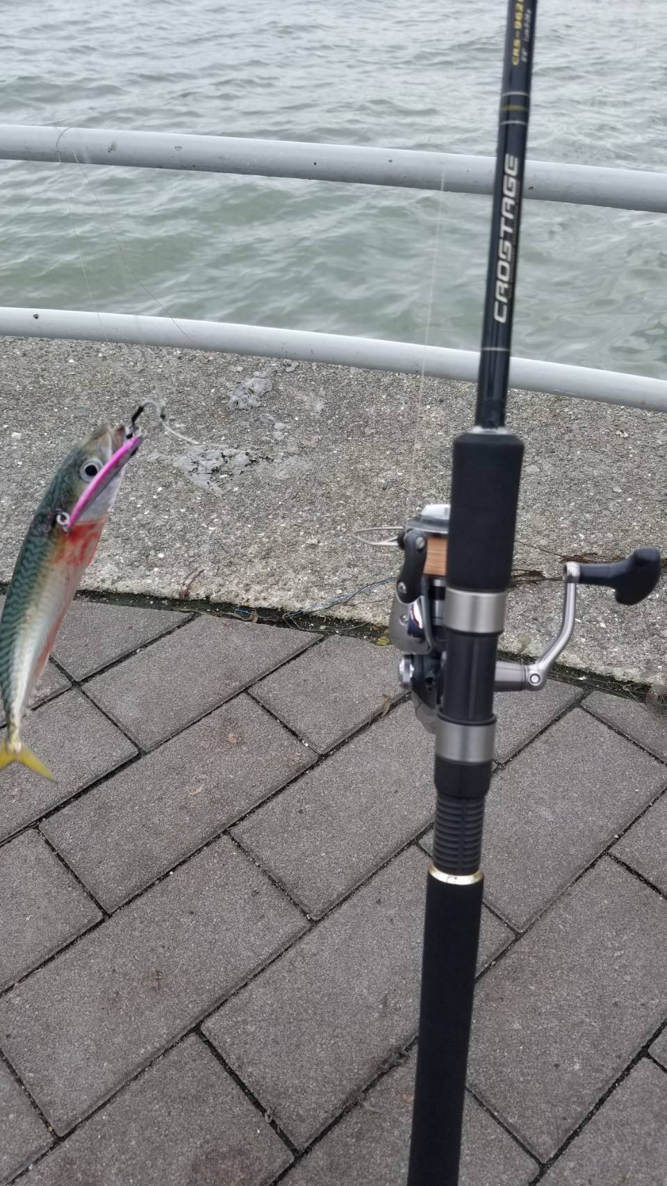 コスモで（小）サバゲー