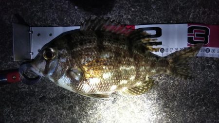 活性が高くなっています