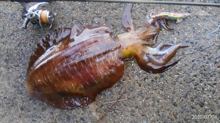 またまた、最後に･・･・？