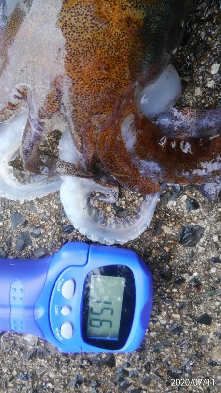 ふらっとよって?