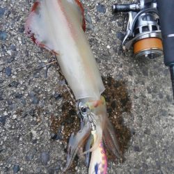 君じゃないけど、うれしい。