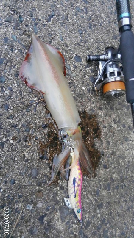 君じゃないけど、うれしい。