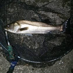 場所移動成功　汐見運河