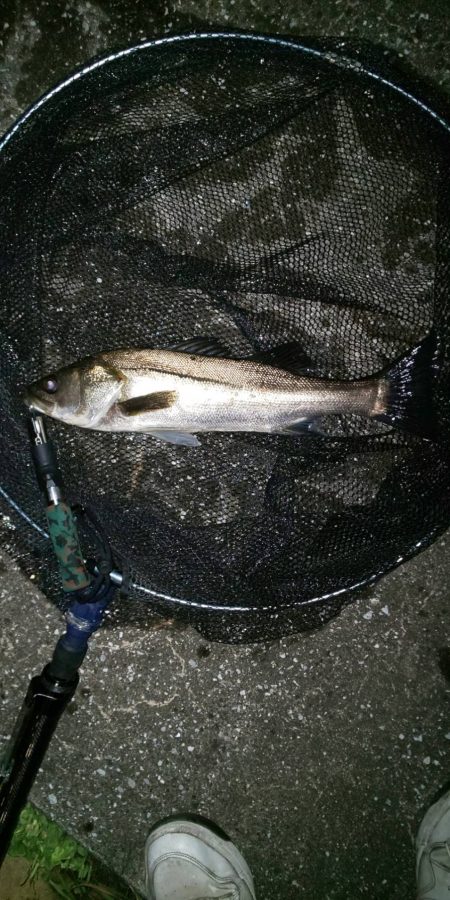 場所移動成功　汐見運河