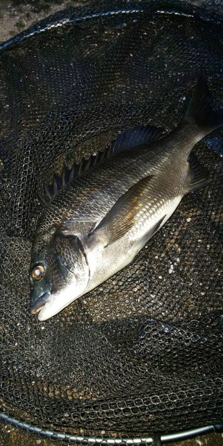 どうにかGET　～汐見運河～