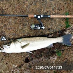 雨の中休み釣行！