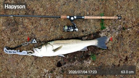 雨の中休み釣行！