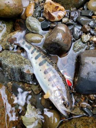 雨が吉と出るか⁉࿠…