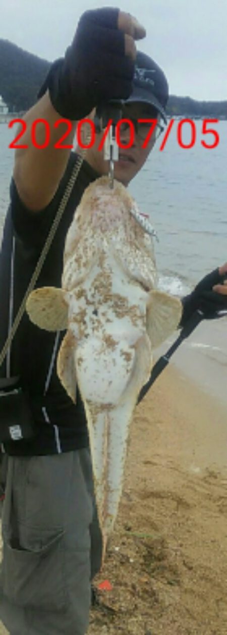 マゴチ64センチ