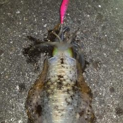 まさかの二キロアップ♪♪