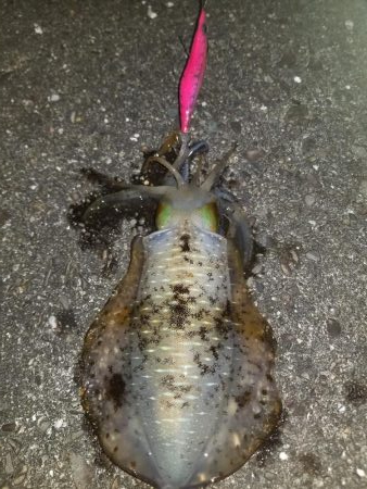 まさかの二キロアップ♪♪