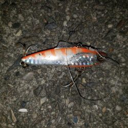 シーバスナイトゲーム