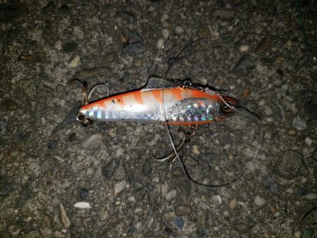 シーバスナイトゲーム