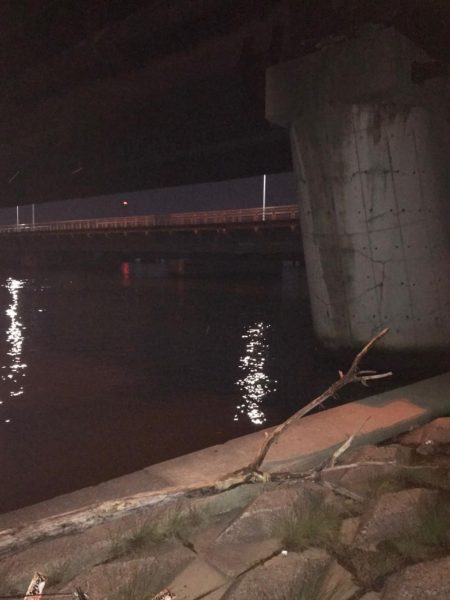 淀川のチニング