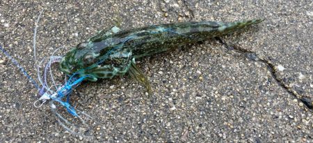 デイショアジギング