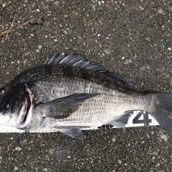 イチノ兄弟、釣果!