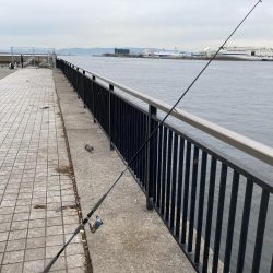 梅雨の合間にチョイ投げ