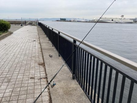 梅雨の合間にチョイ投げ