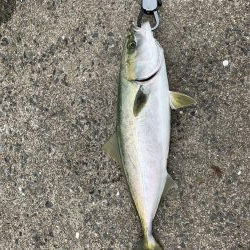 良い釣りライフを!