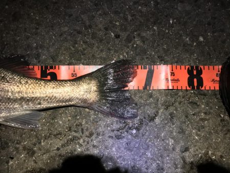 ナナマルまであと少し