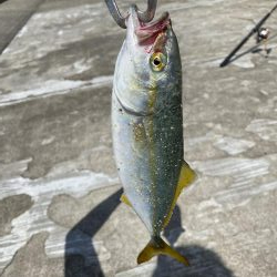 帰り側にやったアタリが!