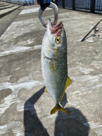 帰り側にやったアタリが!