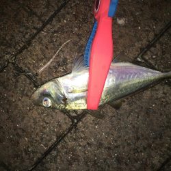 スプリットアジング