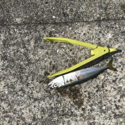 武庫川一文字にて