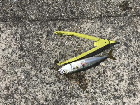 武庫川一文字にて