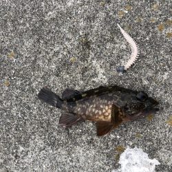 ごめん!勘弁してください