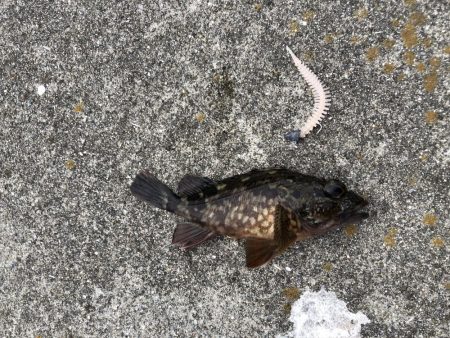 ごめん!勘弁してください