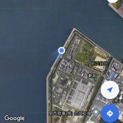 忠岡高場メジナヘチ釣り