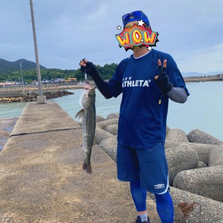 初シーバスは75cm！