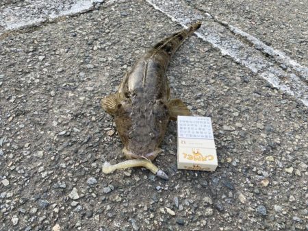 夏のルアー釣り