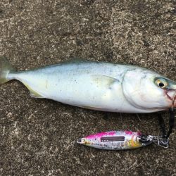 雨上がりデイゲーム