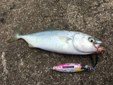 雨上がりデイゲーム