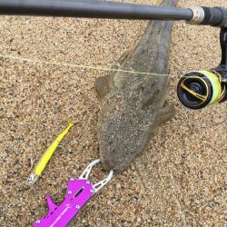 北条サーフマゴチ2連