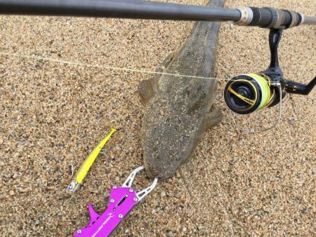 北条サーフマゴチ2連