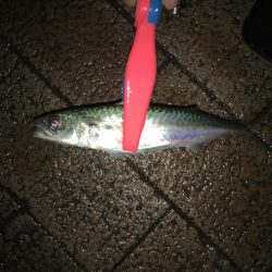 スプリットリグアジング