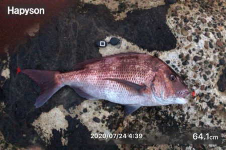 予想外のゲスト