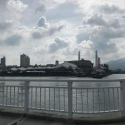 夜釣りからの朝マズメ