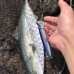 真夏・真昼間のトップゲーム