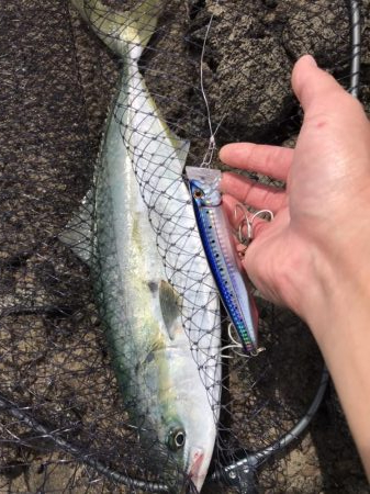 真夏・真昼間のトップゲーム