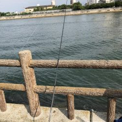 ちょい投げ キス