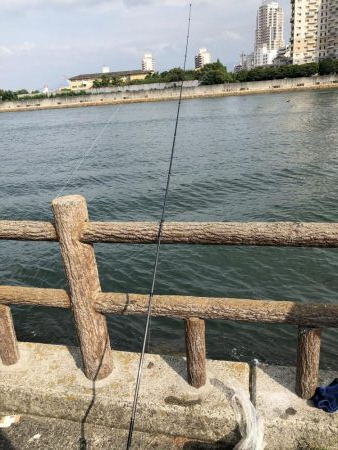 ちょい投げ キス