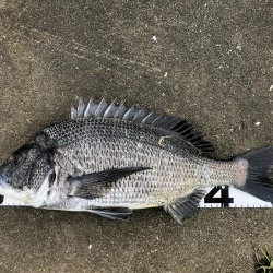 イチノ兄弟、釣果!