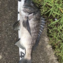 イチノ兄弟、釣果!