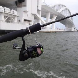 今週末も舞洲に行って来ました。