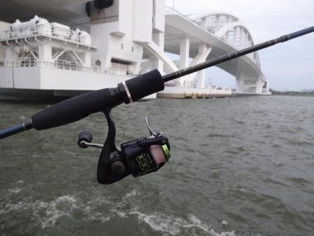 今週末も舞洲に行って来ました。