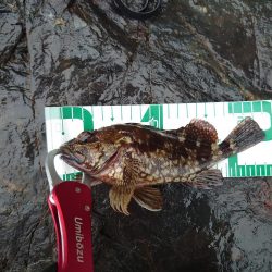 新規開拓は難しい